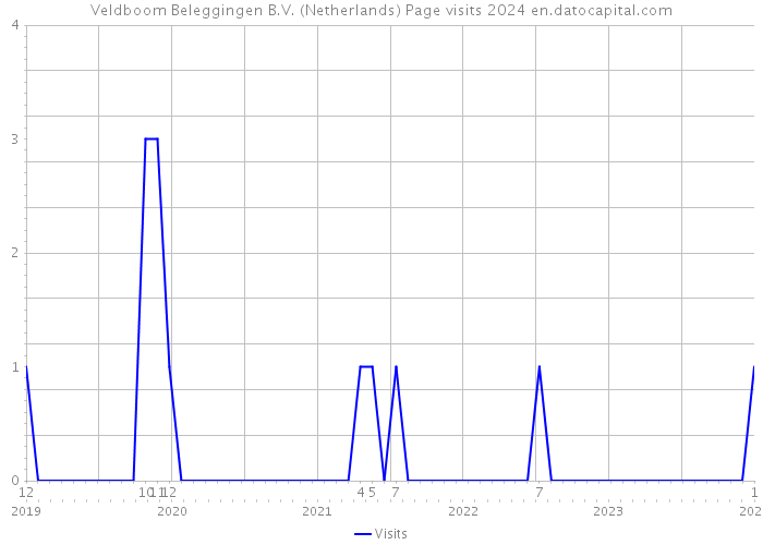 Veldboom Beleggingen B.V. (Netherlands) Page visits 2024 