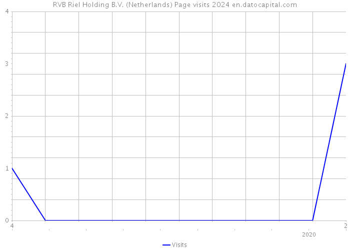 RVB Riel Holding B.V. (Netherlands) Page visits 2024 