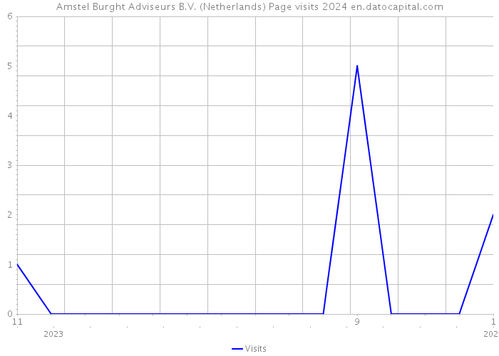 Amstel Burght Adviseurs B.V. (Netherlands) Page visits 2024 