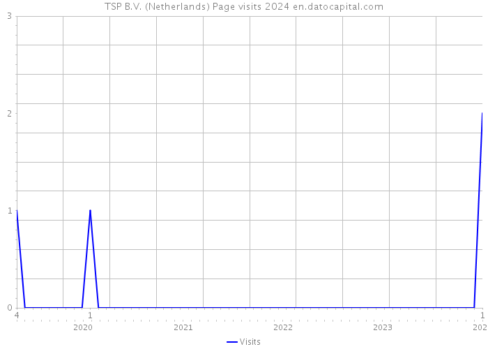 TSP B.V. (Netherlands) Page visits 2024 