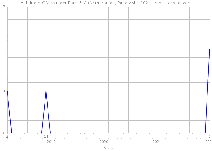 Holding A.C.V. van der Plaat B.V. (Netherlands) Page visits 2024 