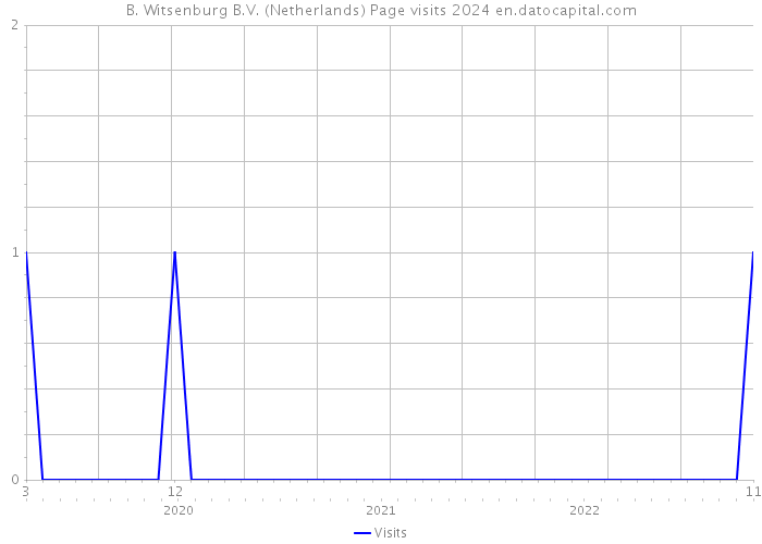 B. Witsenburg B.V. (Netherlands) Page visits 2024 