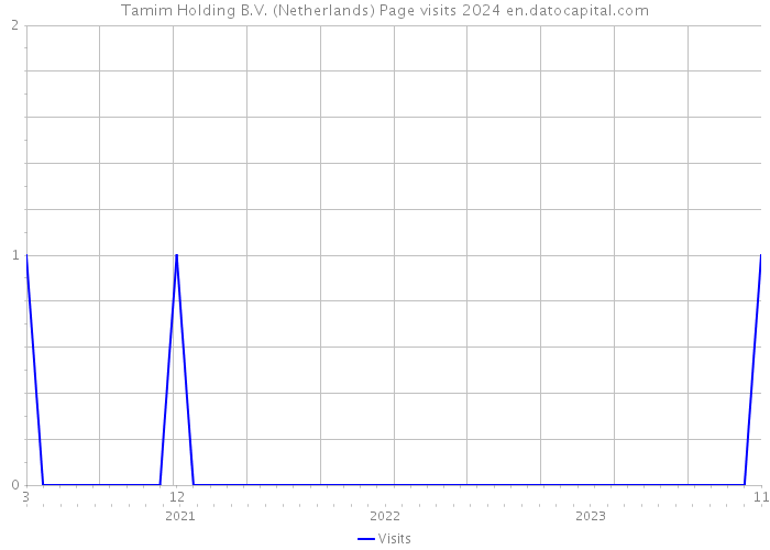 Tamim Holding B.V. (Netherlands) Page visits 2024 