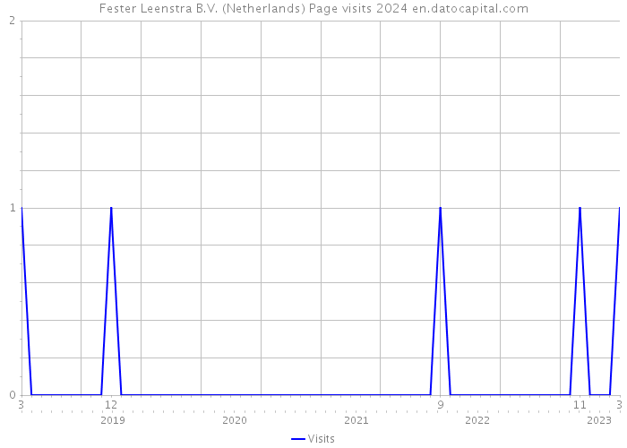 Fester Leenstra B.V. (Netherlands) Page visits 2024 