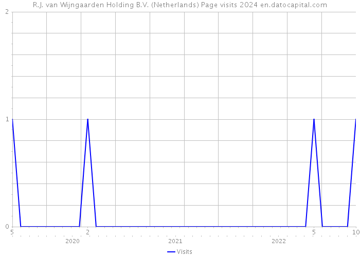 R.J. van Wijngaarden Holding B.V. (Netherlands) Page visits 2024 