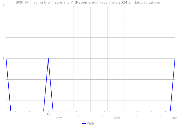 BRIKHA Trading International B.V. (Netherlands) Page visits 2024 