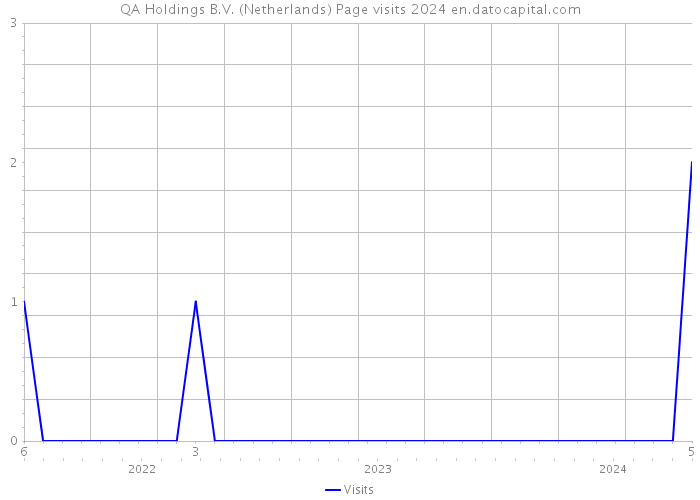 QA Holdings B.V. (Netherlands) Page visits 2024 