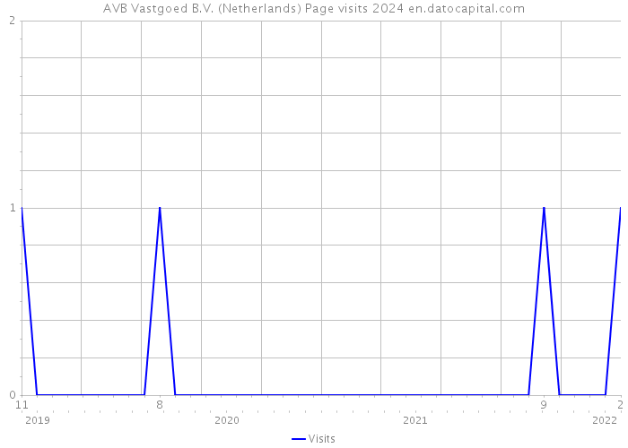 AVB Vastgoed B.V. (Netherlands) Page visits 2024 
