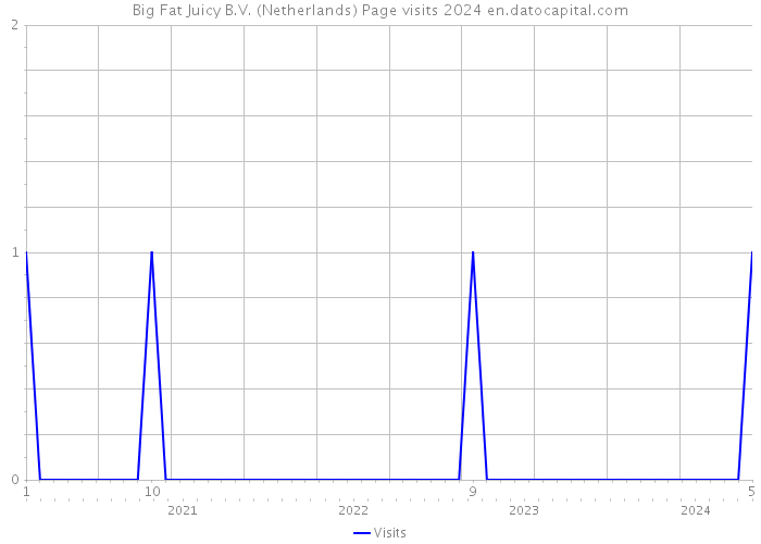 Big Fat Juicy B.V. (Netherlands) Page visits 2024 