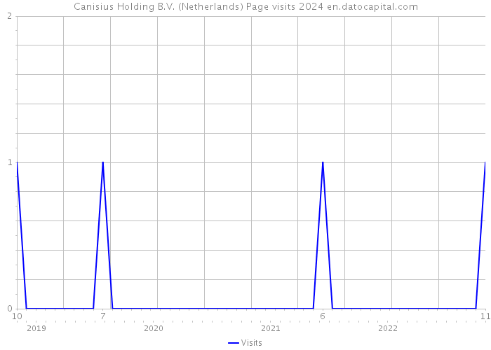 Canisius Holding B.V. (Netherlands) Page visits 2024 