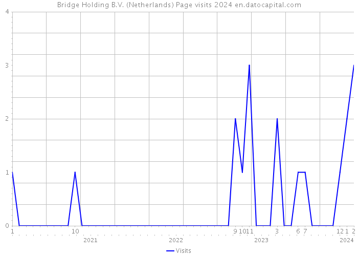 Bridge Holding B.V. (Netherlands) Page visits 2024 