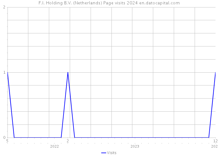 F.I. Holding B.V. (Netherlands) Page visits 2024 