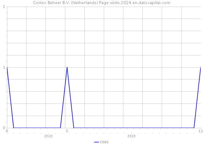 Cortex Beheer B.V. (Netherlands) Page visits 2024 
