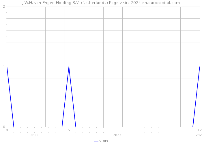 J.W.H. van Engen Holding B.V. (Netherlands) Page visits 2024 
