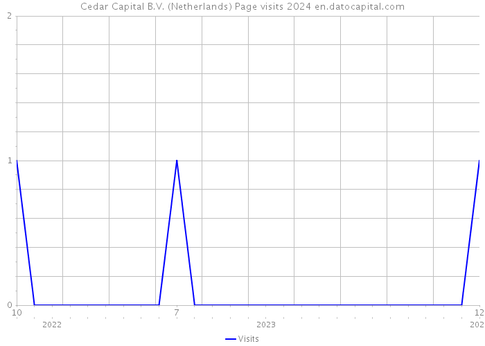 Cedar Capital B.V. (Netherlands) Page visits 2024 