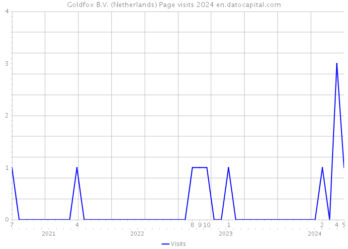 Goldfox B.V. (Netherlands) Page visits 2024 