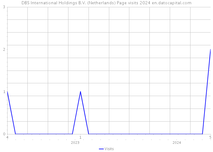 DBS International Holdings B.V. (Netherlands) Page visits 2024 
