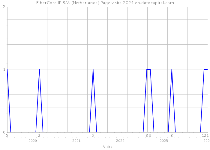 FiberCore IP B.V. (Netherlands) Page visits 2024 