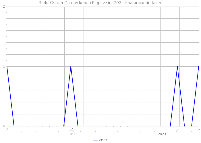 Radu Cretan (Netherlands) Page visits 2024 