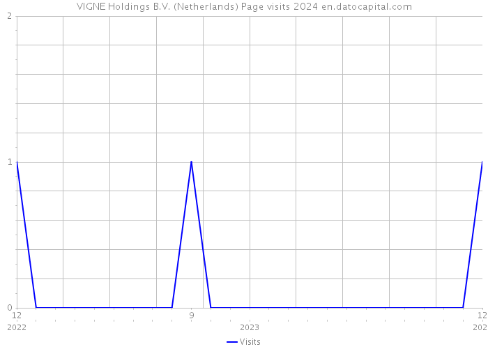 VIGNE Holdings B.V. (Netherlands) Page visits 2024 