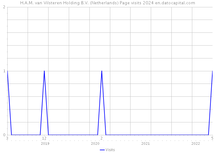H.A.M. van Vilsteren Holding B.V. (Netherlands) Page visits 2024 