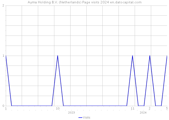 Ayma Holding B.V. (Netherlands) Page visits 2024 
