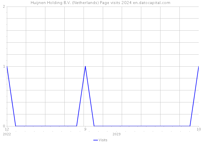 Huijnen Holding B.V. (Netherlands) Page visits 2024 