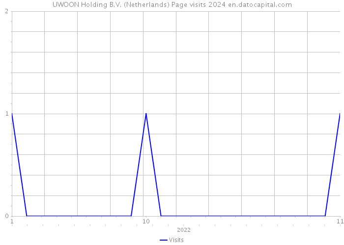 UWOON Holding B.V. (Netherlands) Page visits 2024 