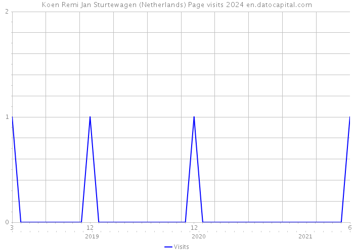 Koen Remi Jan Sturtewagen (Netherlands) Page visits 2024 