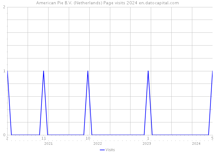 American Pie B.V. (Netherlands) Page visits 2024 