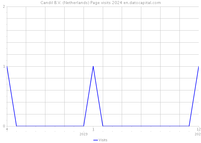 Candil B.V. (Netherlands) Page visits 2024 