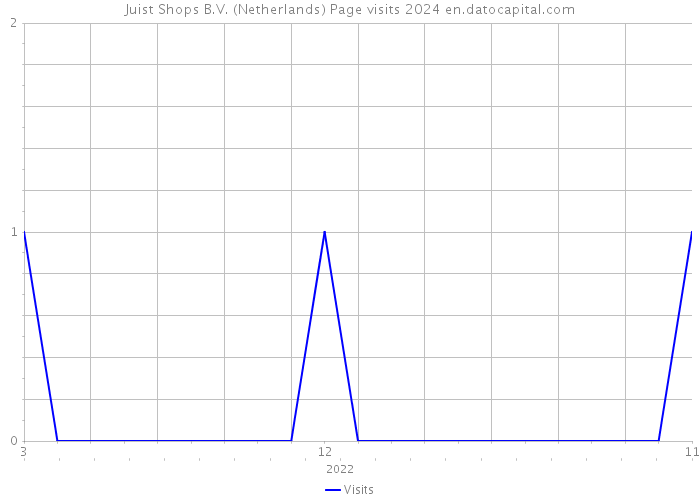 Juist Shops B.V. (Netherlands) Page visits 2024 