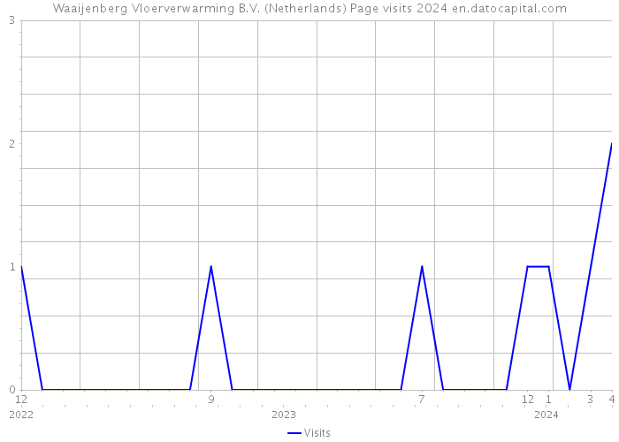 Waaijenberg Vloerverwarming B.V. (Netherlands) Page visits 2024 