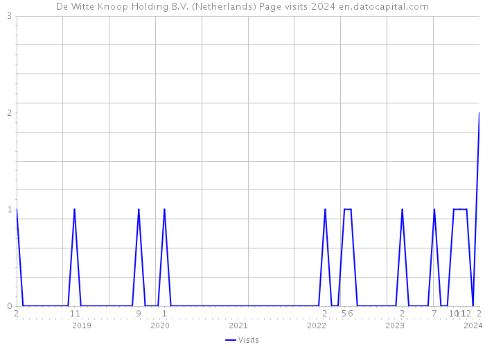 De Witte Knoop Holding B.V. (Netherlands) Page visits 2024 