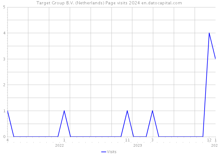 Target Group B.V. (Netherlands) Page visits 2024 