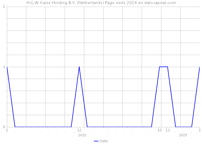H.G.W. Kalse Holding B.V. (Netherlands) Page visits 2024 