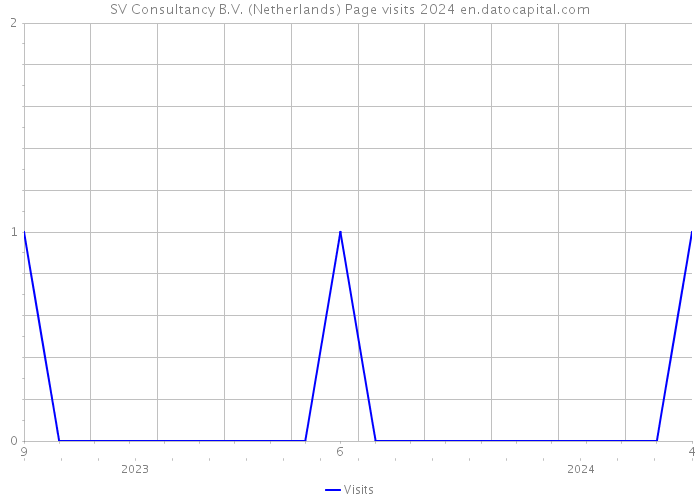 SV Consultancy B.V. (Netherlands) Page visits 2024 