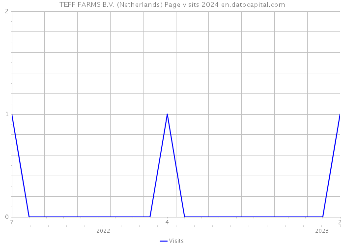 TEFF FARMS B.V. (Netherlands) Page visits 2024 