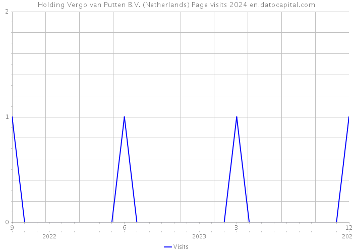 Holding Vergo van Putten B.V. (Netherlands) Page visits 2024 