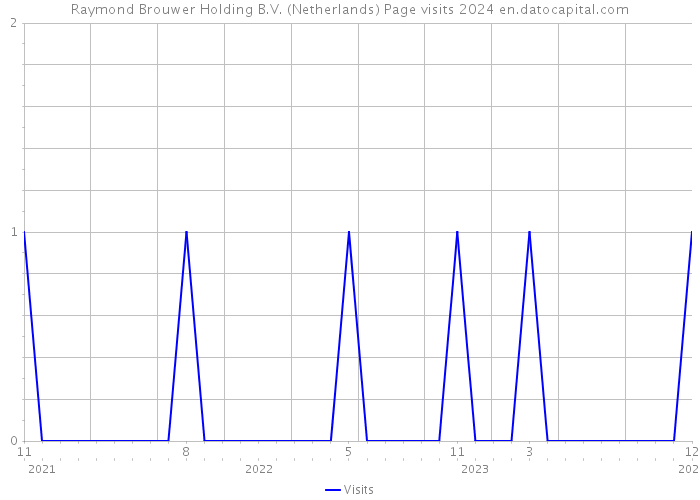 Raymond Brouwer Holding B.V. (Netherlands) Page visits 2024 