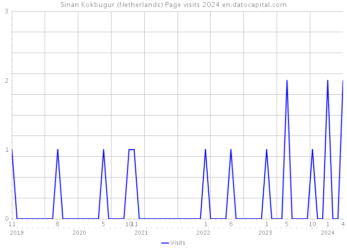 Sinan Kokbugur (Netherlands) Page visits 2024 