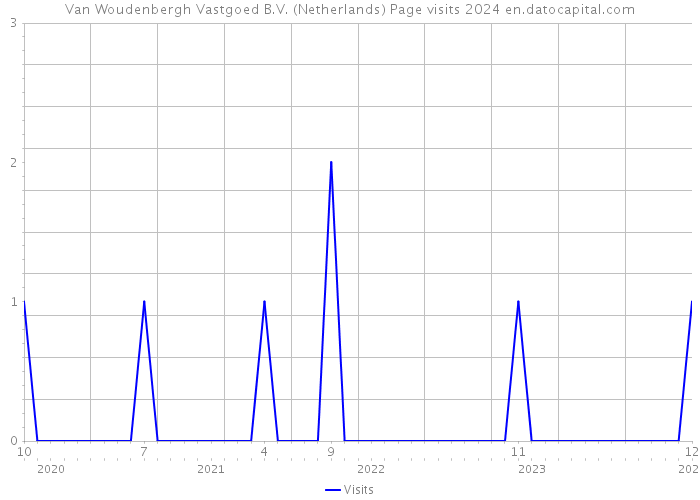 Van Woudenbergh Vastgoed B.V. (Netherlands) Page visits 2024 