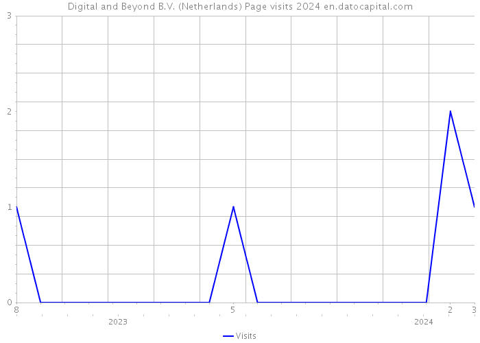 Digital and Beyond B.V. (Netherlands) Page visits 2024 