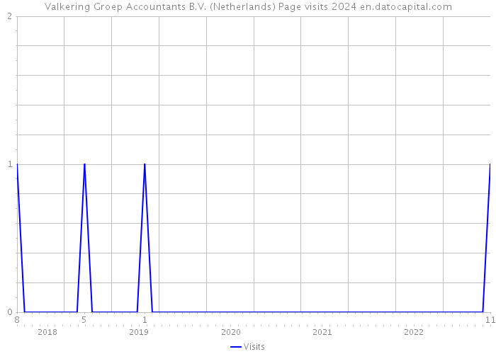Valkering Groep Accountants B.V. (Netherlands) Page visits 2024 