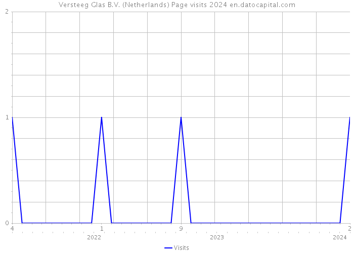 Versteeg Glas B.V. (Netherlands) Page visits 2024 