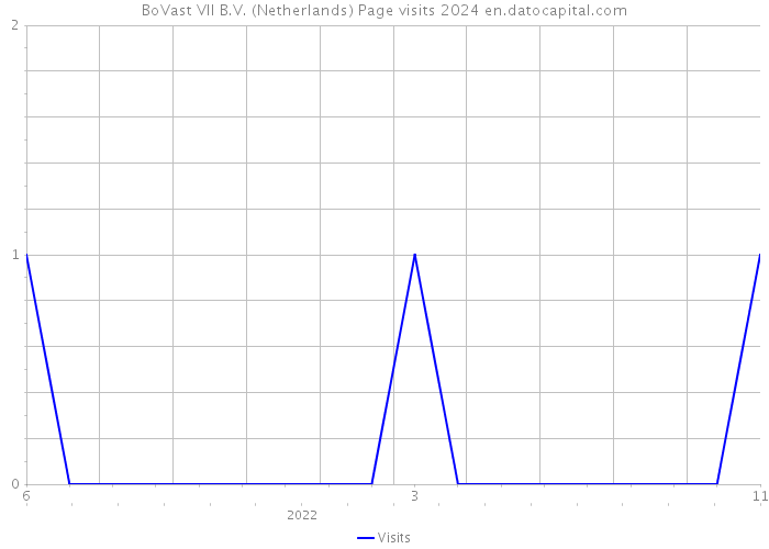 BoVast VII B.V. (Netherlands) Page visits 2024 