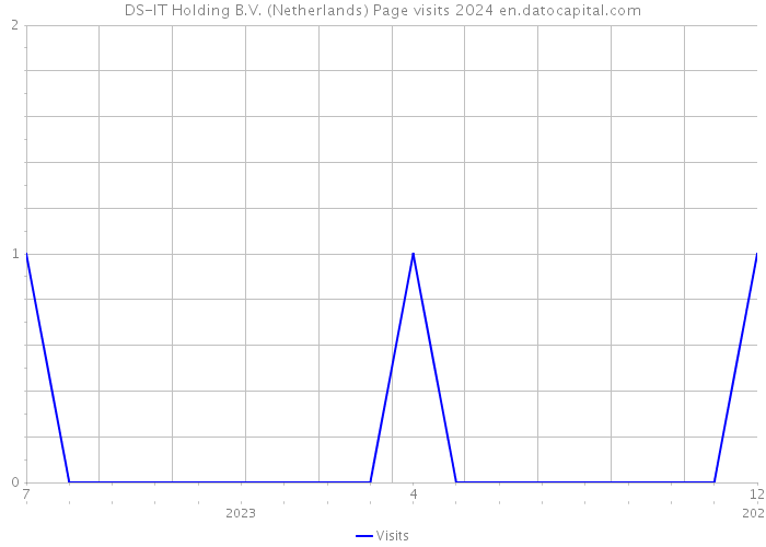 DS-IT Holding B.V. (Netherlands) Page visits 2024 