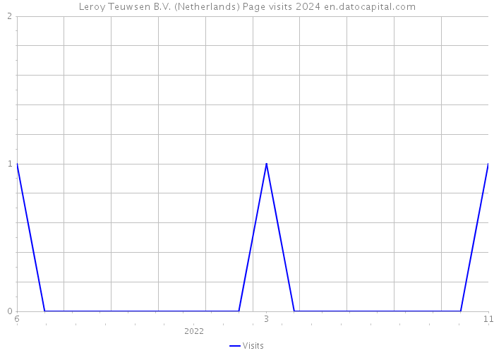 Leroy Teuwsen B.V. (Netherlands) Page visits 2024 
