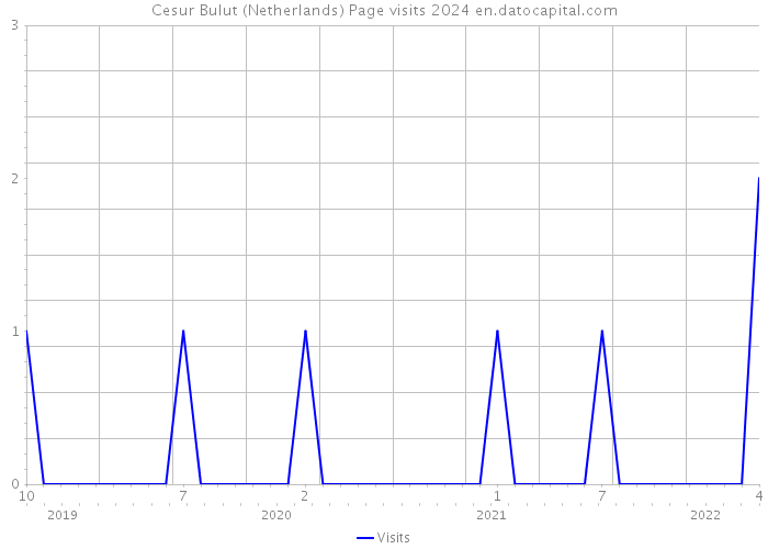 Cesur Bulut (Netherlands) Page visits 2024 