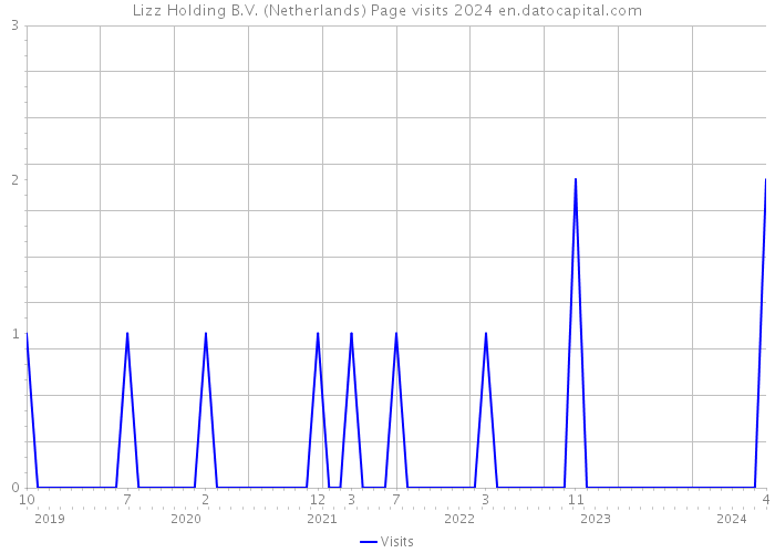 Lizz Holding B.V. (Netherlands) Page visits 2024 